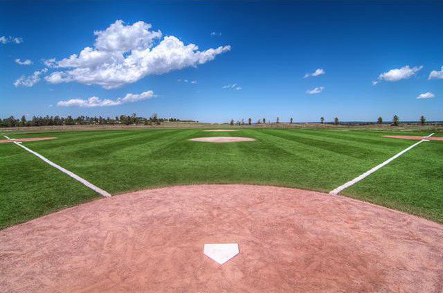 Lag Ba'omer Barbecue and Baseball Game